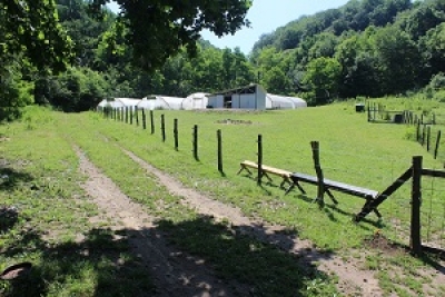 Tuzla je sjedište prve romske zadruge u BiH