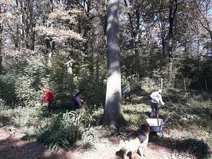 Volunteers of the Association of Roma Women &quot;Bolja buducnost&quot; cleaned one of the few Roma cemeteries in Bosnia and Herzegovina